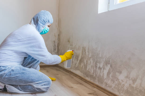 Black mold inspection in Farmville