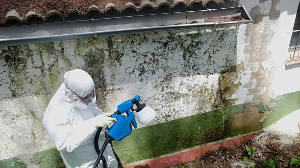 Mold Remediation service in Farmville, Farmville, NC